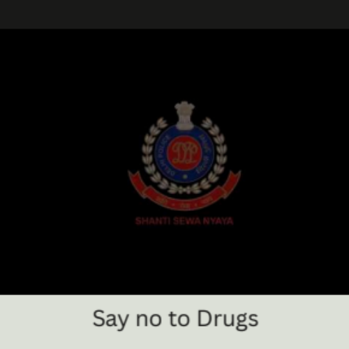 Untitled design (21)